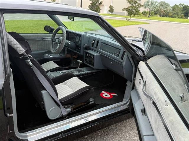 1987 Buick Grand National (CC-2002635) for sale in Cadillac, Michigan