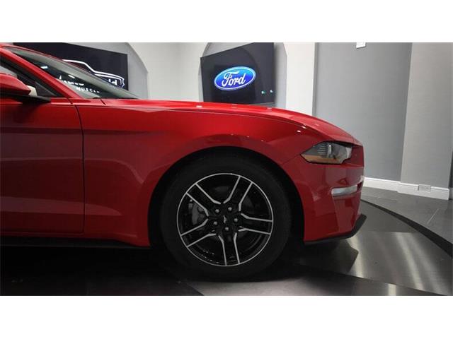 2018 Ford Mustang (CC-2003054) for sale in Clearwater, Florida