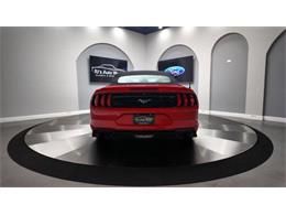 2018 Ford Mustang (CC-2003054) for sale in Clearwater, Florida