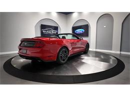 2018 Ford Mustang (CC-2003054) for sale in Clearwater, Florida