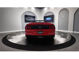 2018 Ford Mustang (CC-2003054) for sale in Clearwater, Florida