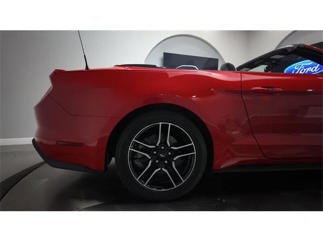 2018 Ford Mustang (CC-2003054) for sale in Clearwater, Florida