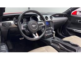 2018 Ford Mustang (CC-2003054) for sale in Clearwater, Florida