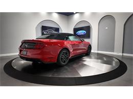 2018 Ford Mustang (CC-2003054) for sale in Clearwater, Florida