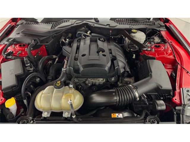 2018 Ford Mustang (CC-2003054) for sale in Clearwater, Florida