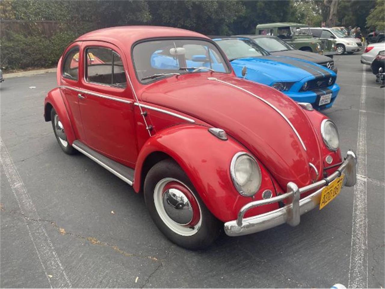 1959 Volkswagen Beetle for Sale | ClassicCars.com | CC-2003866
