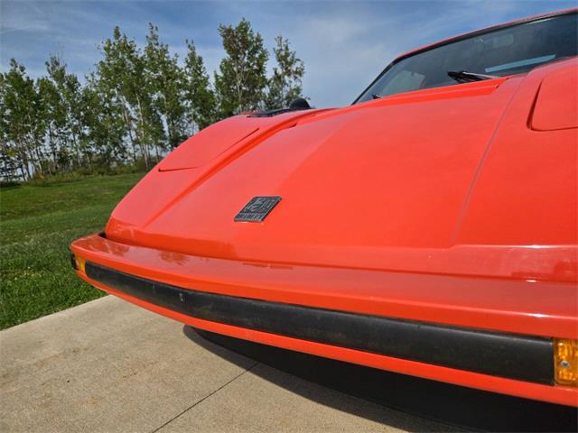 1980 Bradley GT (CC-2003916) for sale in Stanley, Wisconsin