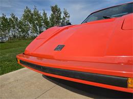 1980 Bradley GT (CC-2003916) for sale in Stanley, Wisconsin