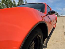1980 Bradley GT (CC-2003916) for sale in Stanley, Wisconsin