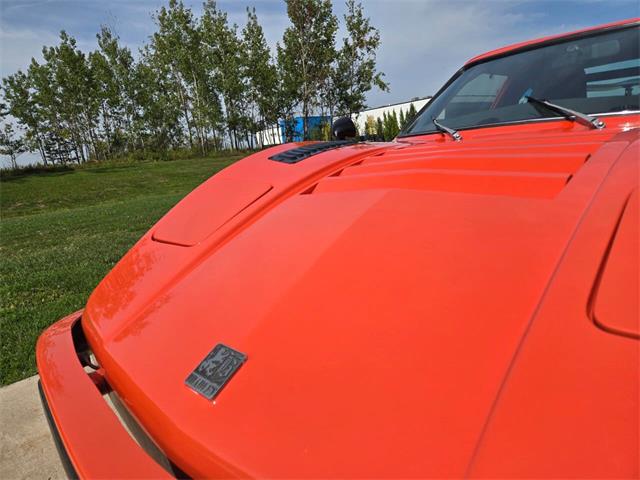 1980 Bradley GT (CC-2003916) for sale in Stanley, Wisconsin