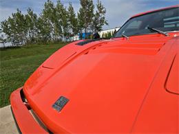 1980 Bradley GT (CC-2003916) for sale in Stanley, Wisconsin