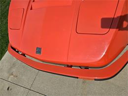 1980 Bradley GT (CC-2003916) for sale in Stanley, Wisconsin
