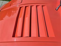 1980 Bradley GT (CC-2003916) for sale in Stanley, Wisconsin