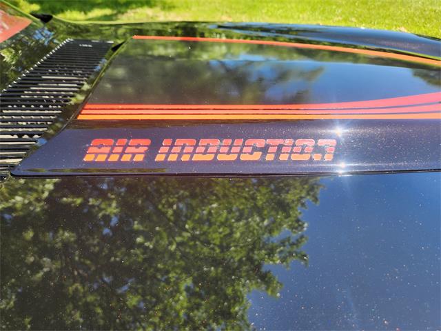 1979 Chevrolet Camaro RS (CC-2005087) for sale in Cortland, Ohio
