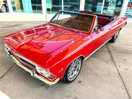 1966 Chevrolet Chevelle (CC-2005183) for sale in Bradenton, Florida