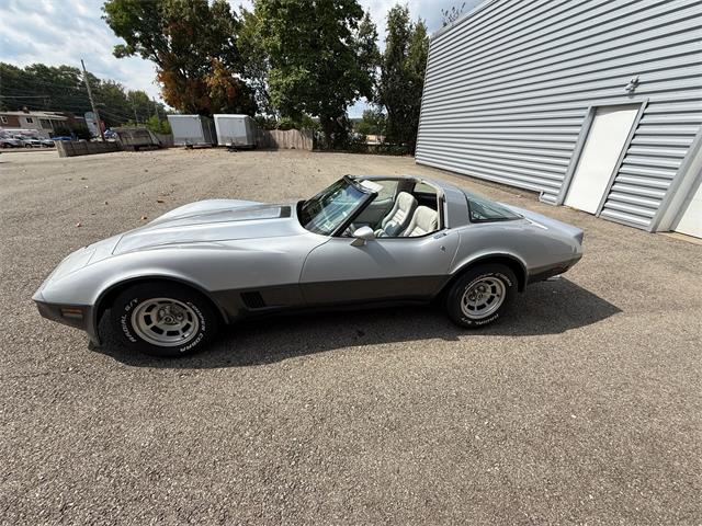 1981 Chevrolet Corvette (CC-2006015) for sale in Pittsburgh, Pennsylvania