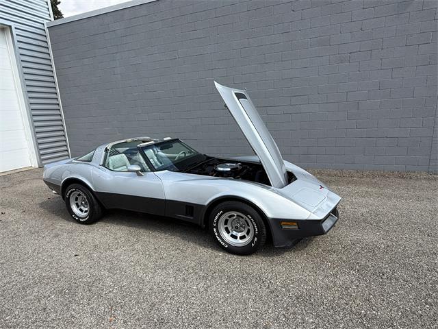 1981 Chevrolet Corvette (CC-2006015) for sale in Pittsburgh, Pennsylvania