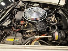 1981 Chevrolet Corvette (CC-2006015) for sale in Pittsburgh, Pennsylvania