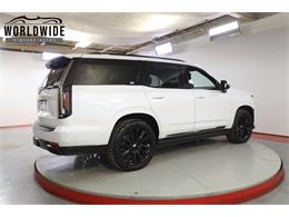 2021 Cadillac Escalade (CC-2006271) for sale in Denver , Colorado