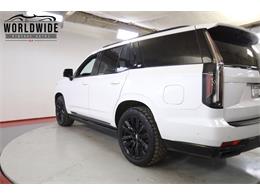 2021 Cadillac Escalade (CC-2006271) for sale in Denver , Colorado