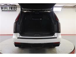 2021 Cadillac Escalade (CC-2006271) for sale in Denver , Colorado