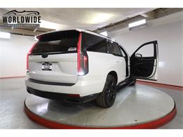 2021 Cadillac Escalade (CC-2006271) for sale in Denver , Colorado