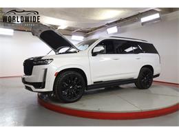 2021 Cadillac Escalade (CC-2006271) for sale in Denver , Colorado