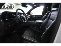 2021 Cadillac Escalade (CC-2006271) for sale in Denver , Colorado