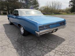 1967 Pontiac LeMans (CC-2006844) for sale in Hilton, New York