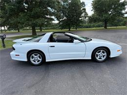 1995 Pontiac Firebird Trans Am (CC-2006920) for sale in Paris , Kentucky