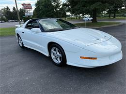 1995 Pontiac Firebird Trans Am (CC-2006920) for sale in Paris , Kentucky