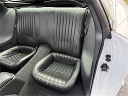 1995 Pontiac Firebird Trans Am (CC-2006920) for sale in Paris , Kentucky