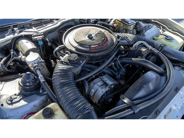 1985 Pontiac Firebird Trans Am (CC-2009353) for sale in Biloxi, Mississippi
