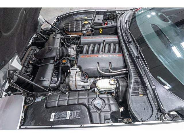 1997 Chevrolet Corvette (CC-2011201) for sale in Bristol, Pennsylvania