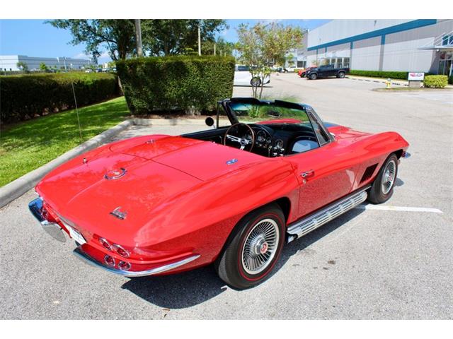 1967 Chevrolet Corvette (CC-2014342) for sale in Sarasota, Florida
