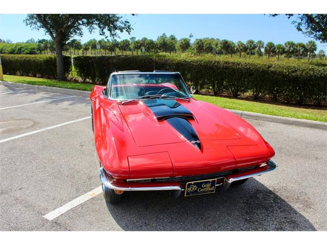 1967 Chevrolet Corvette (CC-2014342) for sale in Sarasota, Florida