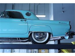 1956 Ford Thunderbird (CC-2014917) for sale in Lutz, Florida