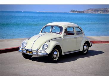 1963 Volkswagen Beetle (CC-2015242) for sale in Cadillac, Michigan