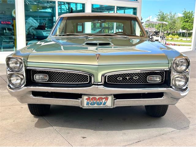 1967 Pontiac GTO (CC-2017704) for sale in Bradenton, Florida