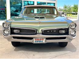 1967 Pontiac GTO (CC-2017704) for sale in Bradenton, Florida