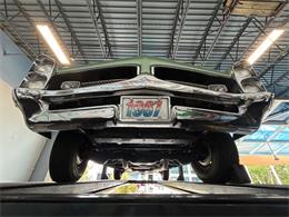 1967 Pontiac GTO (CC-2017704) for sale in Bradenton, Florida