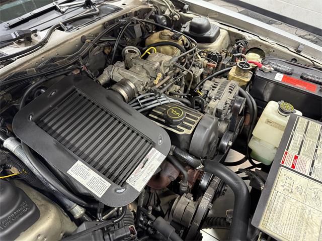 1988 Ford Thunderbird (CC-2017711) for sale in Pittsburgh, Pennsylvania