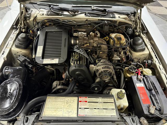 1988 Ford Thunderbird (CC-2017711) for sale in Pittsburgh, Pennsylvania