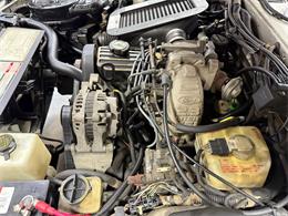 1988 Ford Thunderbird (CC-2017711) for sale in Pittsburgh, Pennsylvania