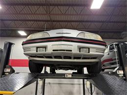 1988 Ford Thunderbird (CC-2017711) for sale in Pittsburgh, Pennsylvania