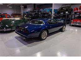 1977 Pontiac Firebird Trans Am (CC-2021272) for sale in Rogers, Minnesota