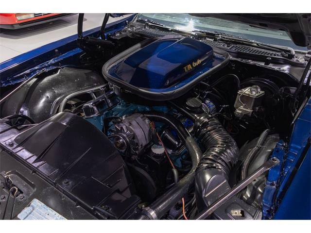 1977 Pontiac Firebird Trans Am (CC-2021272) for sale in Rogers, Minnesota