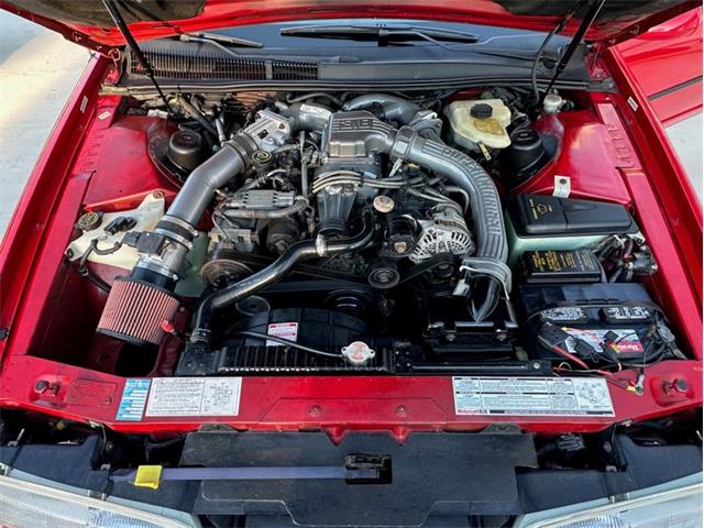 1989 Ford Thunderbird (CC-2021316) for sale in West Babylon, New York