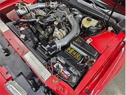 1989 Ford Thunderbird (CC-2021316) for sale in West Babylon, New York