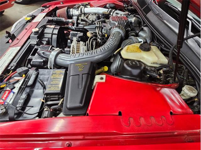 1989 Ford Thunderbird (CC-2021316) for sale in West Babylon, New York